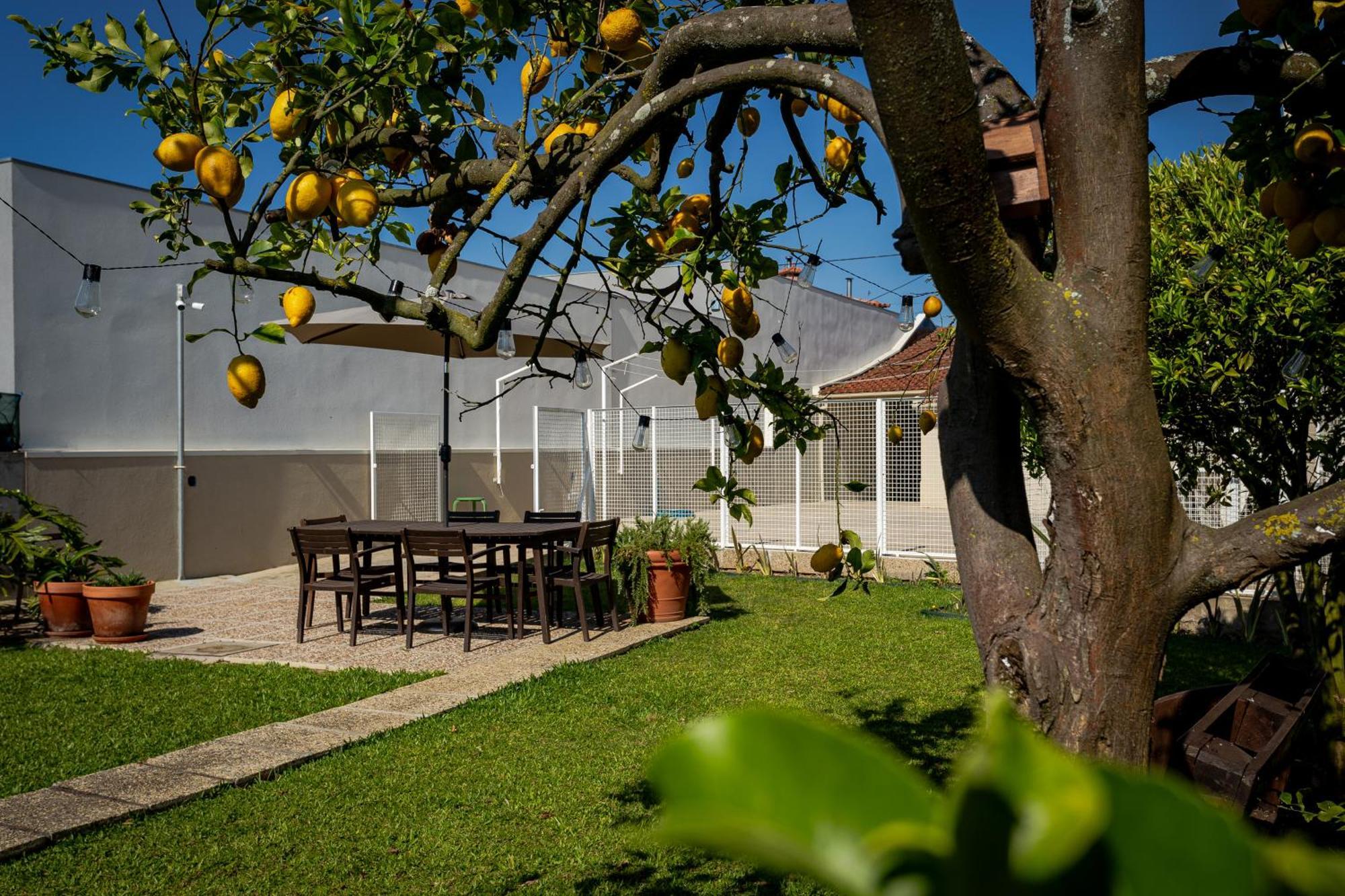 714 Mugnano House Aveleda Villa Vila do Conde Dış mekan fotoğraf
